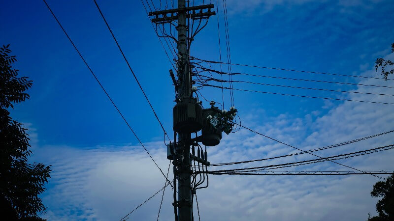 電柱からの鳥のフンを落とされる 無料でできる鳥害対策